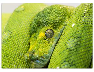 Slika zmije (70x50 cm)