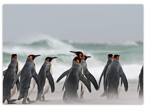 Slika pingvina uz ocean (70x50 cm)