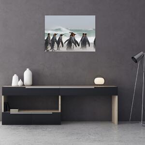 Slika pingvina uz ocean (70x50 cm)