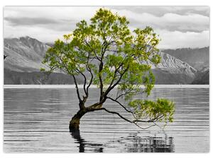 Staklena slika stabla usred jezera (70x50 cm)