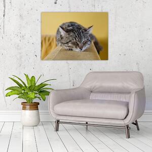 Slika mačke na kauču (70x50 cm)