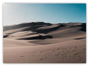 Slika - Iz pustinje (70x50 cm)