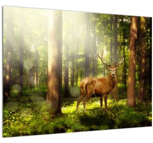 Staklena slika jelena u šumi (70x50 cm)