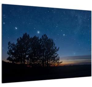 Staklena slika drveća noću (70x50 cm)