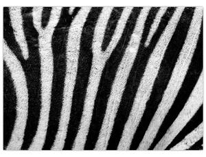 Slika kože zebre (70x50 cm)