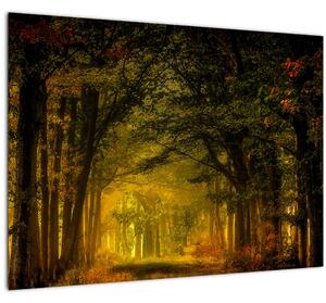 Staklena slika šume (70x50 cm)