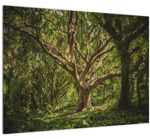 Staklena slika stabla (70x50 cm)