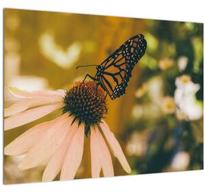Staklena slika leptira na cvijetu (70x50 cm)