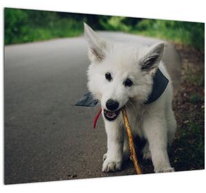 Staklena slika bijelog psa (70x50 cm)