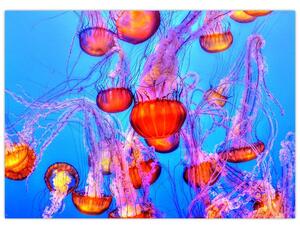 Staklena slika meduza u moru (70x50 cm)
