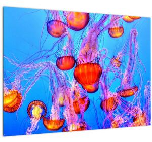 Staklena slika meduza u moru (70x50 cm)