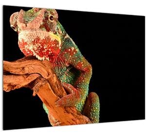 Staklena slika kameleona na grani (70x50 cm)