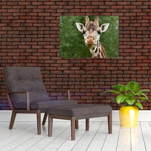 Staklena slika žirafe (70x50 cm)