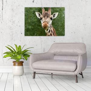 Staklena slika žirafe (70x50 cm)