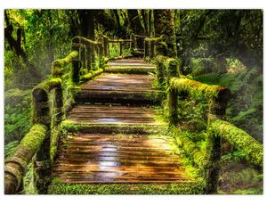 Staklena slika stepenica u prašumi (70x50 cm)