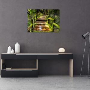 Staklena slika stepenica u prašumi (70x50 cm)