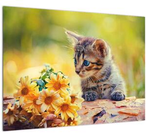 Staklena slika mačića koji gleda cvijet (70x50 cm)