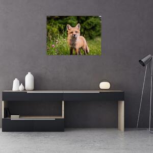 Staklena slika lisice (70x50 cm)