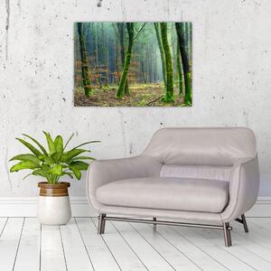 Staklena slika šume (70x50 cm)