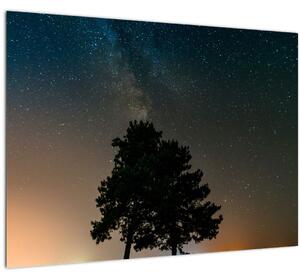 Staklena slika noćnog neba s drvećem (70x50 cm)
