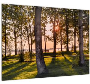 Staklena slika drveća uz jezero (70x50 cm)
