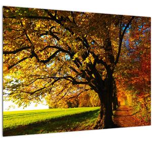 Staklena slika jeseni (70x50 cm)