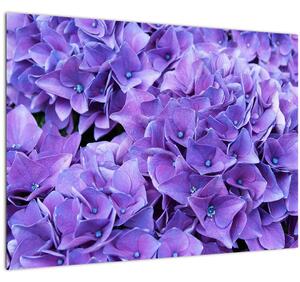 Staklena slika ljubičastog cvijeća (70x50 cm)