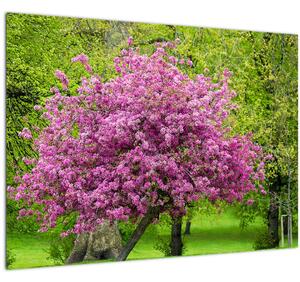 Staklena slika cvjetajućeg stabla na livadi (70x50 cm)