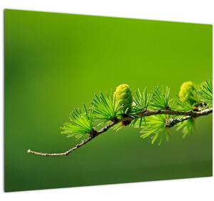 Staklena slika zelenog češera (70x50 cm)