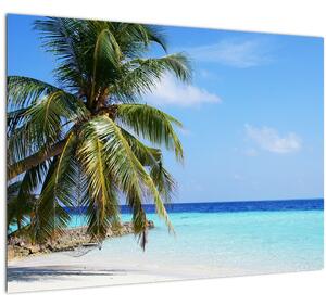 Staklena slika palme na plaži (70x50 cm)