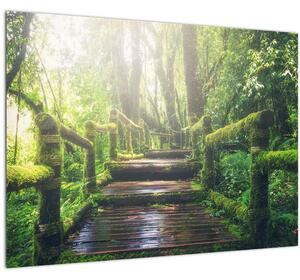 Staklena slika - drvene stepenice u šumi (70x50 cm)