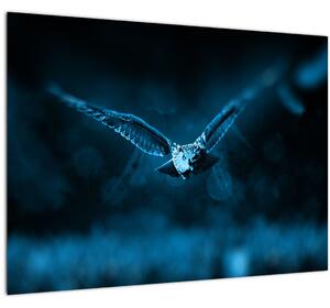 Staklena slika leteće sove (70x50 cm)