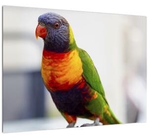 Staklena slika papige (70x50 cm)