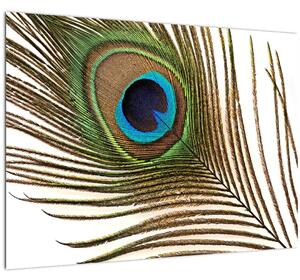 Staklena slika paunovog perja (70x50 cm)