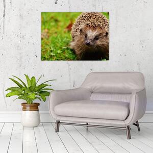 Staklena slika ježa (70x50 cm)