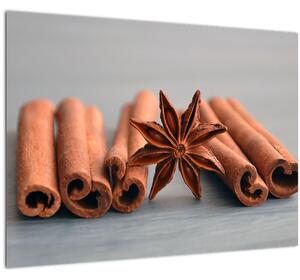 Staklena slika cimeta (70x50 cm)