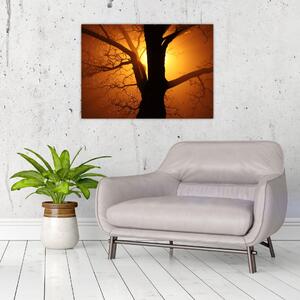 Staklena slika drveta pri zalasku sunca (70x50 cm)