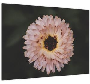 Staklena slika narančastog cvijeta (70x50 cm)