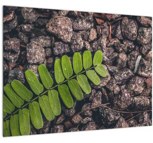 Staklena slika zelene biljke (70x50 cm)
