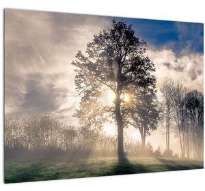 Staklena slika drveta u magli (70x50 cm)