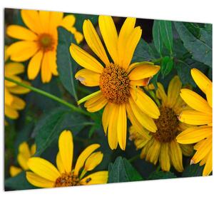 Staklena slika žutih cvjetova (70x50 cm)