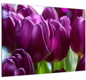 Staklena slika tulipana (70x50 cm)