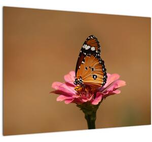 Staklena slika leptira na cvijetu (70x50 cm)