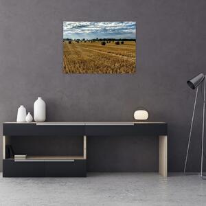 Staklena slika ubranog polja žitarica (70x50 cm)