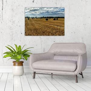 Staklena slika ubranog polja žitarica (70x50 cm)