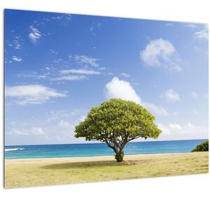Staklena slika plaže s drvetom (70x50 cm)