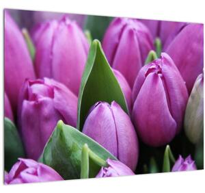 Staklena slika - cvijeće tulipana (70x50 cm)