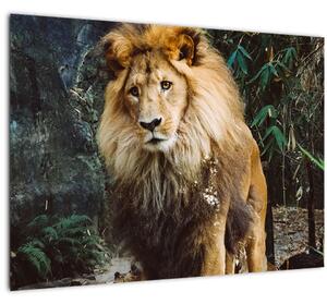 Staklena slika lava u prirodi (70x50 cm)
