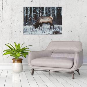 Staklena slika - jelen zimi (70x50 cm)