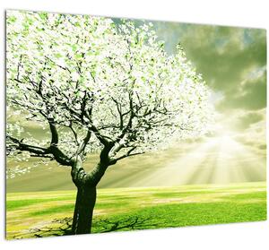 Staklena slika cvatućeg stabla (70x50 cm)